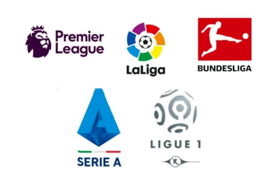 而膝蓋傷病 而膝蓋傷病